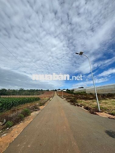 Đất nghỉ dưỡng view đẹp ven Đà Lạt