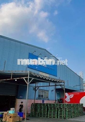 THỜI VỤ SỰ KIỆN LAZADA - BAO CƠM - PARTTIME