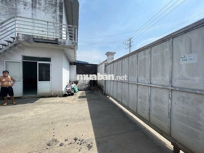 Cho thuê xưởng Đức Hòa Đông, Đức Hòa – 1.000m², PCCC tự động, 