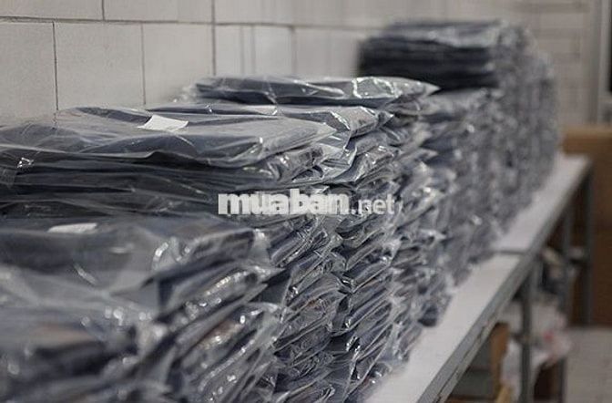 TRỢ LÍ KHO SHOP LOLYSTORE - KHU VỰC TÂN BÌNH-HCM 