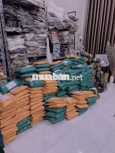 TRỢ LÍ KHO SHOP LOLYSTORE - KHU VỰC TÂN BÌNH-HCM 