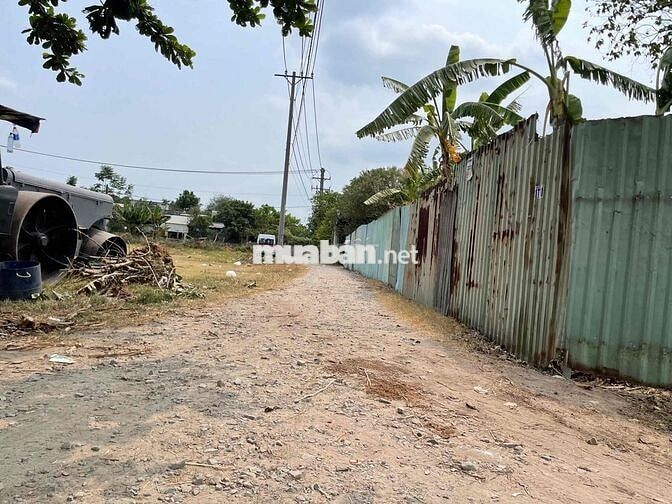 11 lô F0, đất thổ cư đường 5m bê tông thông Bà Điểm 4