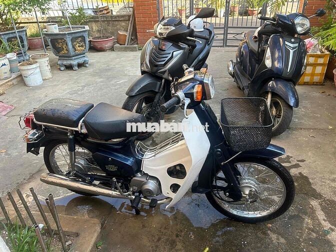 Honda Cub Custom 70 Xanh Dương