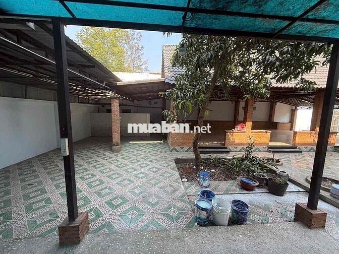 NHÀ ĐẶNG THÚC VỊNH HOOCMOM 600m2 CHỈ 39tr/m2