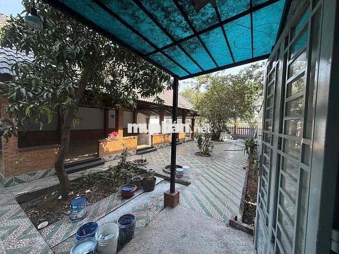 NHÀ ĐẶNG THÚC VỊNH HOOCMOM 600m2 CHỈ 39tr/m2