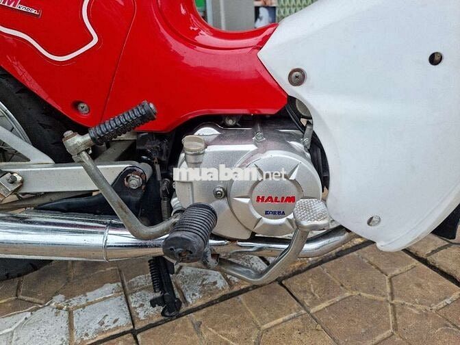 Halim Super Cub Đỏ trắng