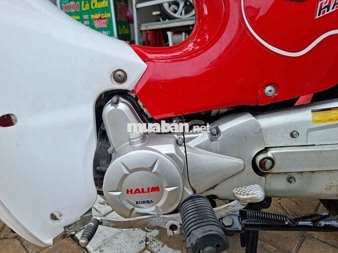 Halim Super Cub Đỏ trắng