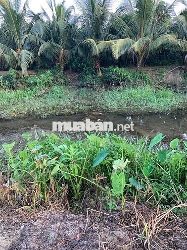 Bán 635m2 đất thuộc Phường Tân An cũ, TP Hồ Chí Minh