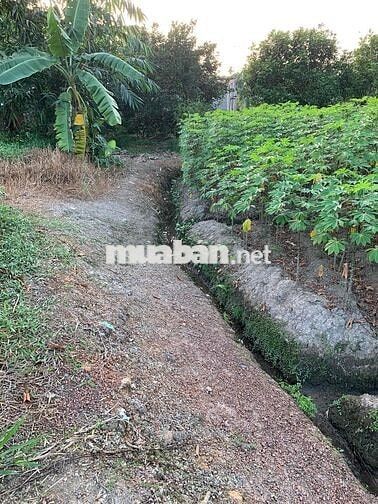 Bán 635m2 đất thuộc Phường Tân An cũ, TP Hồ Chí Minh