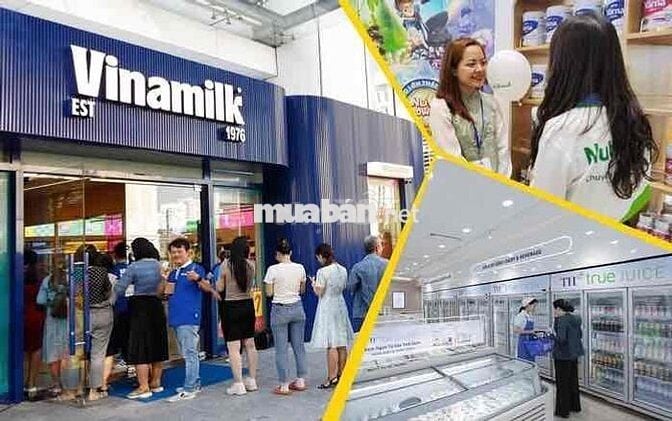 Tuyển quản lý cửa hàng tại Cẩm Khê