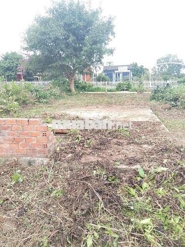 Cần Bán đất Gấp Xã enuol tỉnh Đaklak