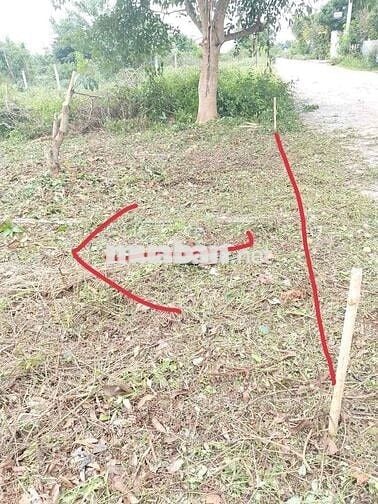 Cần Bán đất Gấp Xã enuol tỉnh Đaklak