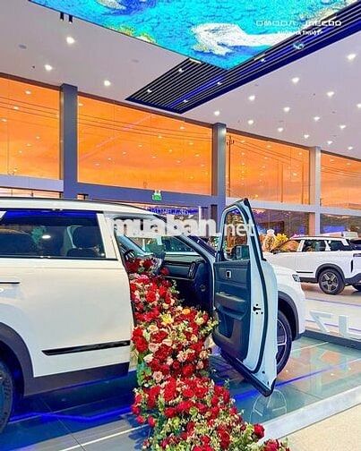 nhân viên tư vấn bán hàng ô tô