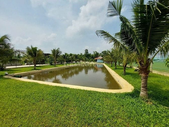 BÁN GẤP NHÀ VƯỜN SINH THÁI HẬU NGHĨA  ĐỨC HÒA, LONG AN (NAY THUỘC TÂY 