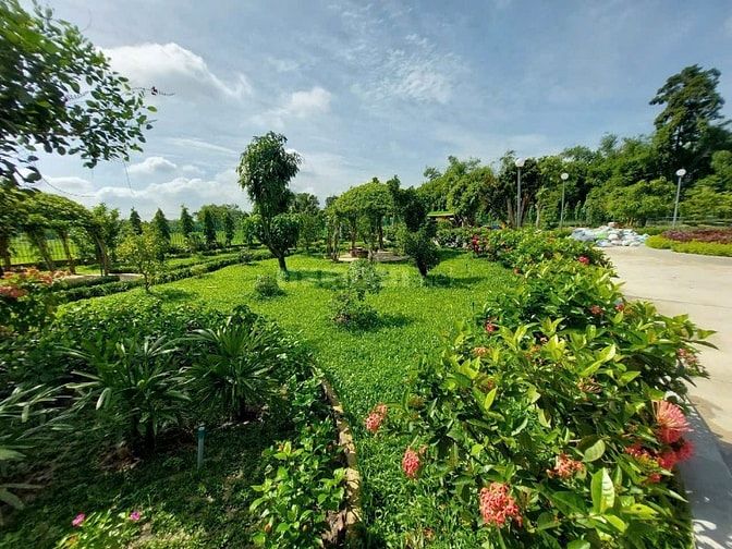 BÁN GẤP NHÀ VƯỜN SINH THÁI HẬU NGHĨA  ĐỨC HÒA, LONG AN (NAY THUỘC TÂY 