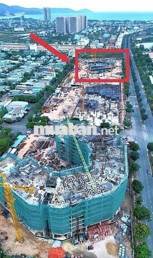 Đã có giá chính thức căn hộ ecolife Signature - Chỉ từ 2,8 tỷ căn 3PN