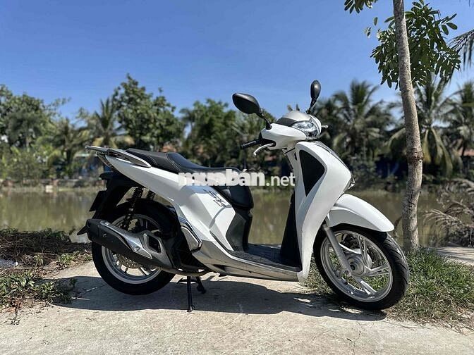 Honda Shvn 125 ABS 2019 Trắng