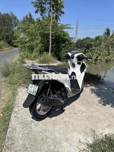 Honda Shvn 125 ABS 2019 Trắng