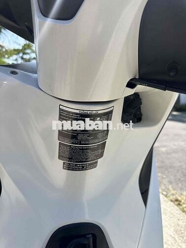 Honda Shvn 125 ABS 2019 Trắng