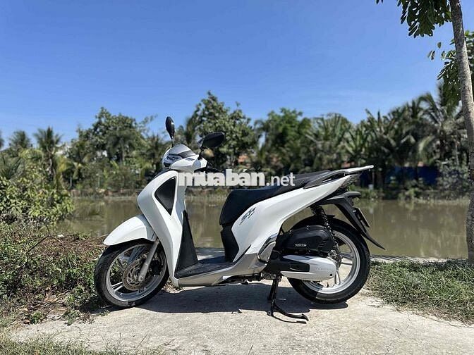 Honda Shvn 125 ABS 2019 Trắng