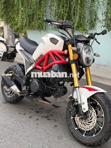 Ducati Mini 2