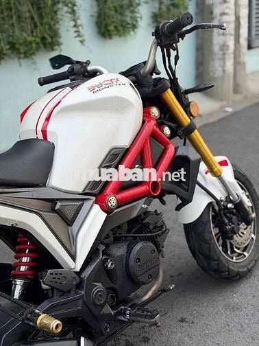 Ducati Mini 2