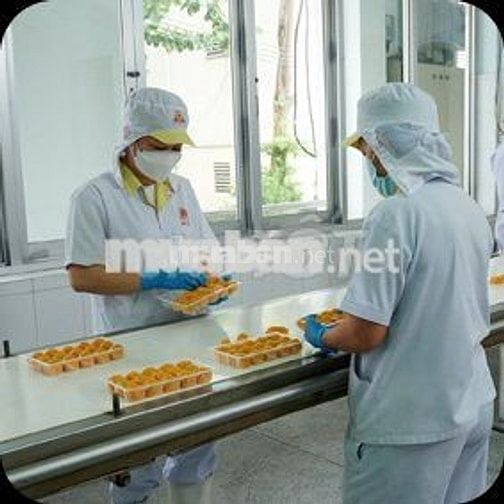 Công nhân nhà máy thực phẩm có THƯỞNG ĐẦU VÀO