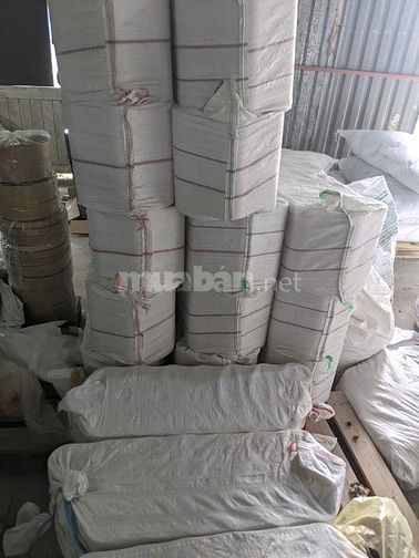 Băng Keo Đóng Hàng Giá Tốt – Giao Toàn Quốc