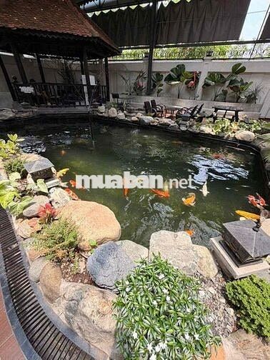 Mặt bằng 800m2 sẵn bàn ghế , Cây , hồ cá gần Tp.Mới