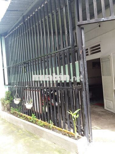 CHO THUÊ NHÀ ĐƯỜNG PHÚ LỢI /THỦ DẦU MỘT/ BÌNH DƯƠNG