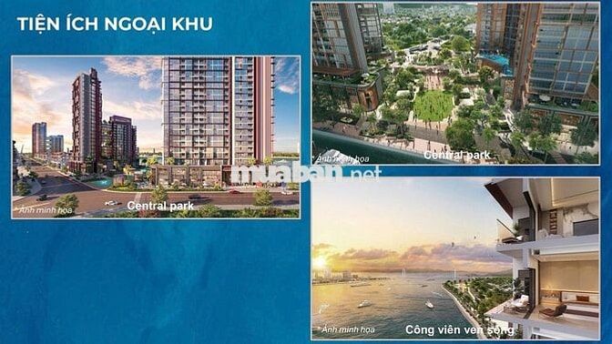 CHỈ 1,9 TỶ SỞ HỮU CĂN HỘ SÔNG HÀN VIEW PHÁO HOA - CHIẾT KHẤU ĐẾN 24%