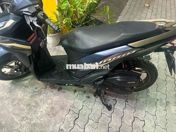 Vario 125/2025