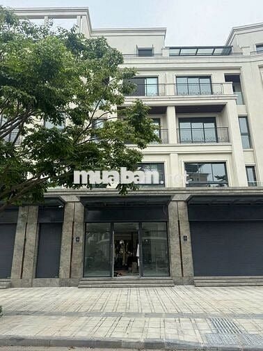 Cho thuê nhà liền kề 120m², 5 tầng tại The Manor Central Park