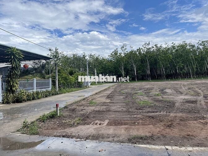 Đất thổ cư sát bên khu công nghiệp