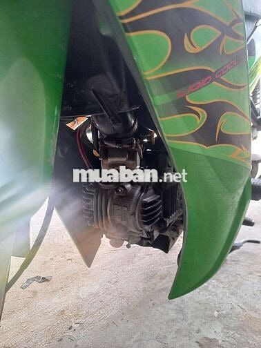 Yamaha Si Nhật độ Xanh lá