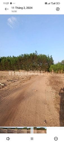 🏡 CHÍNH CHỦ BÁN ĐẤT VƯỜN 1.000M² – GIÁ CHỈ 600 TRIỆU