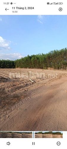 🏡 CHÍNH CHỦ BÁN ĐẤT VƯỜN 1.000M² – GIÁ CHỈ 600 TRIỆU