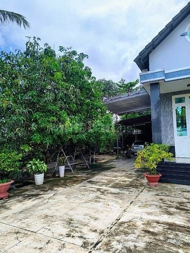 Bán nhà hẻm nhựa Nguyễn văn rốp thành phố Tây Ninh 