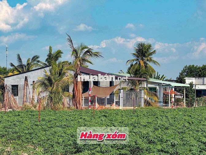 vị trí vàng trực diện núi bà dt 208m2 sẵn thổ cư đầy đủ tiện ích 3xxtr