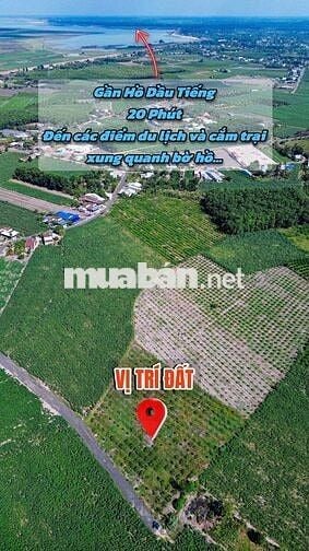 vị trí vàng trực diện núi bà dt 208m2 sẵn thổ cư đầy đủ tiện ích 3xxtr