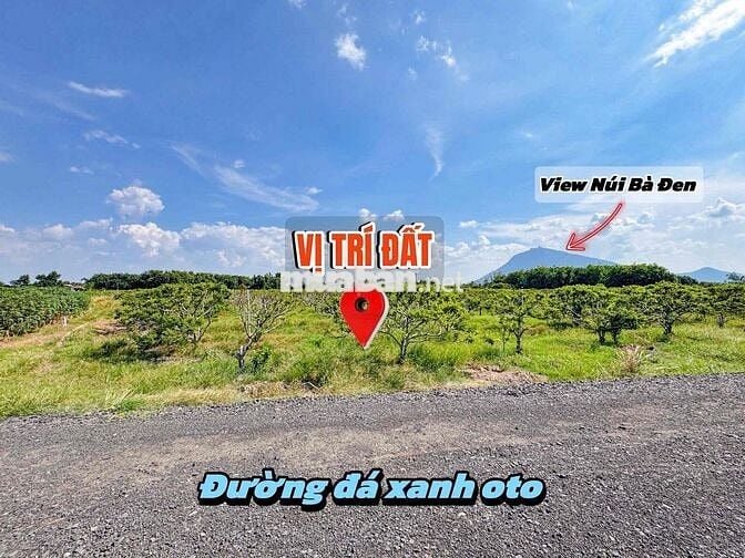 vị trí vàng trực diện núi bà dt 208m2 sẵn thổ cư đầy đủ tiện ích 3xxtr