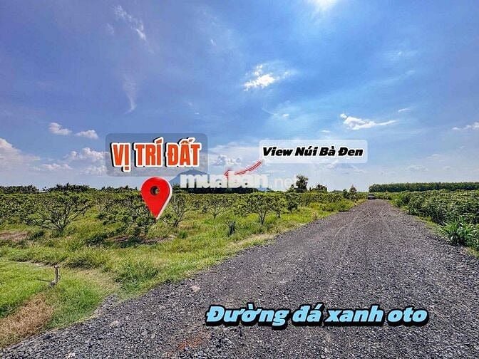 vị trí vàng trực diện núi bà dt 208m2 sẵn thổ cư đầy đủ tiện ích 3xxtr