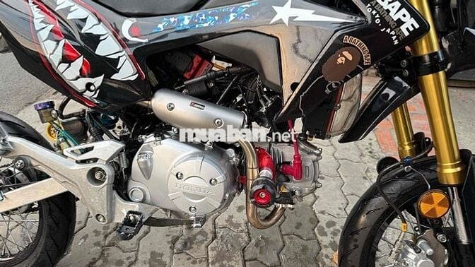 Honda MSX 2015 up Cào Cào