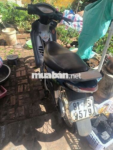 Suzuki Shogun máy chất, bán giao cà vẹt bao cc