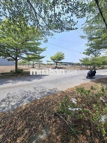 125m² đất sát trường Quốc tế Odyssey,  đón sóng đầu tư Nam Đà Nẵng
