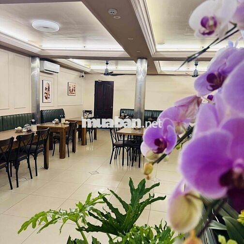 🔥 SANG NHƯỢNG NHÀ HÀNG CƠM NIÊU KẾT HỢP KHU VUI CHƠI TRẺ EM – CHỈ 450