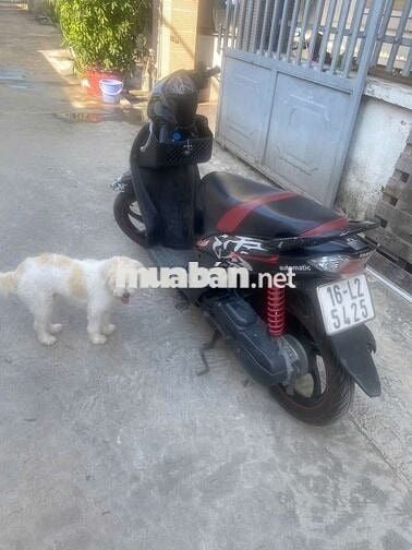 Yamaha Mio Maximo Đen
