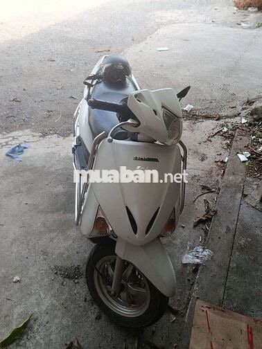 Honda Lead 2012 Trắng