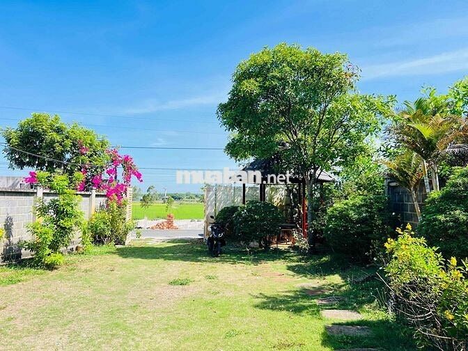 Chưa tới 3 tỷ sở hữu ngay nhà vườn 500m² gần biển – đường nhựa, có sẵn