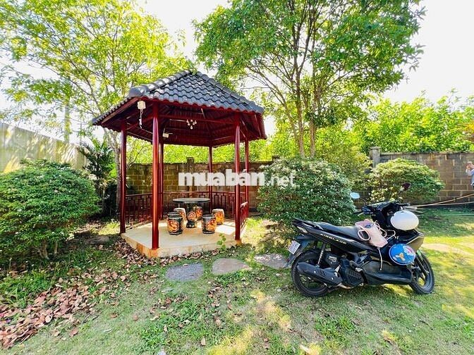 Chưa tới 3 tỷ sở hữu ngay nhà vườn 500m² gần biển – đường nhựa, có sẵn